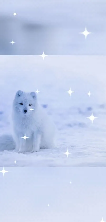 Arctic fox on snow with sparkling stars in the background.