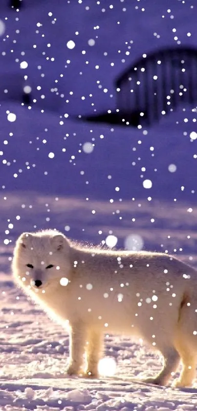 Arctic fox on moonlit snow, serene winter scene.