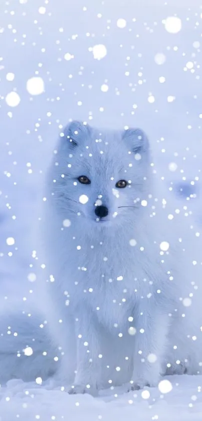 Arctic fox in a snowy winter landscape wallpaper.