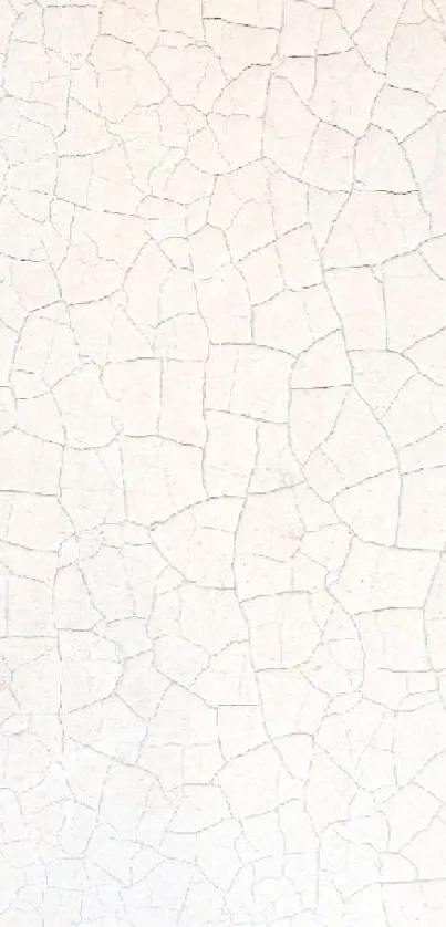 white wall thingy  Live Wallpaper