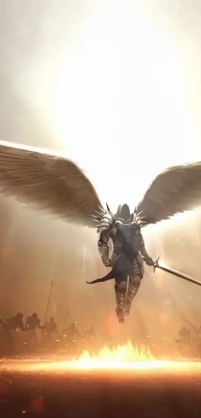 Arthropod Insect Aircraft Live Wallpaper