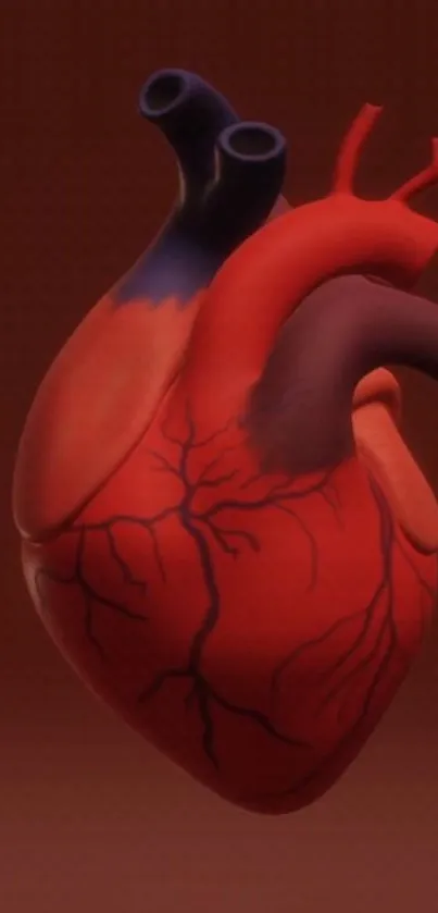 Artistic depiction of an anatomical heart with veins on a red background.