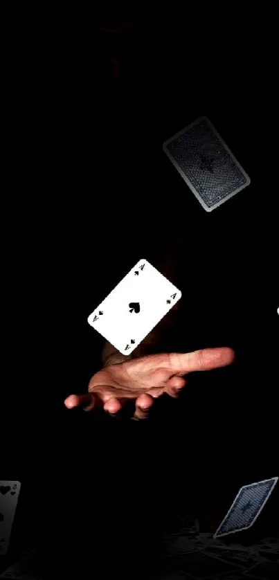 Floating playing cards with black background, showcasing magic.