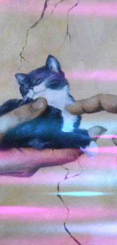 Artistic wallpaper featuring a cat in Michelangelo-inspired hands.