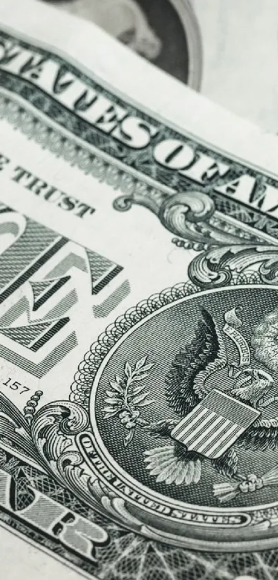 Close-up view of a detailed American dollar bill with rich textures.