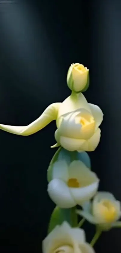 Artistic representation of a floral arrangement on a dark background.