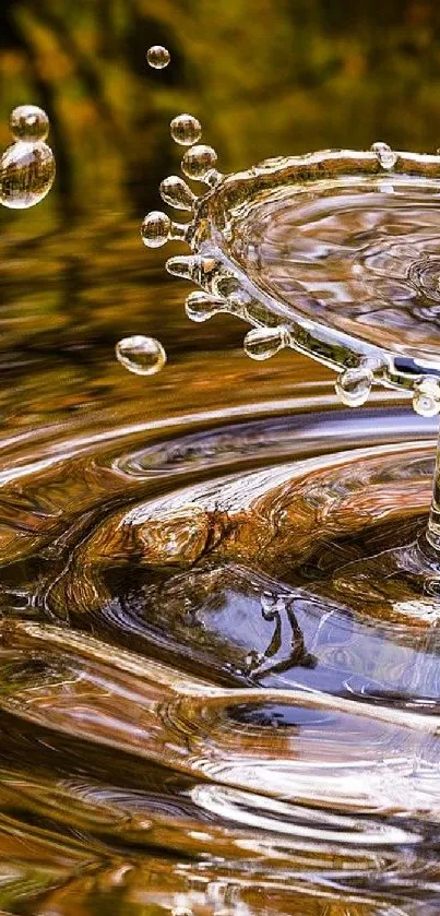 Artistic water ripples with droplets in elegant colors.