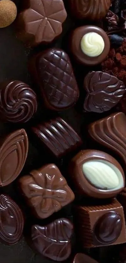 Assorted chocolates displayed in a rich, dark composition.