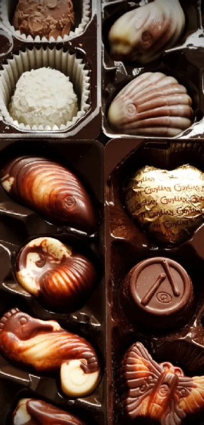 Close-up of assorted chocolates in a box, featuring diverse shapes and rich colors.