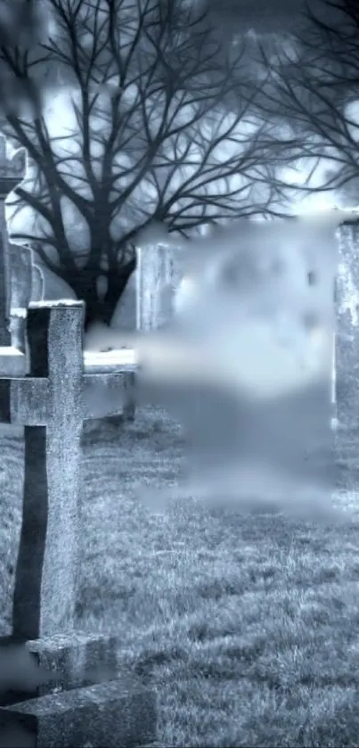 Atmosphere Cemetery Plant Live Wallpaper