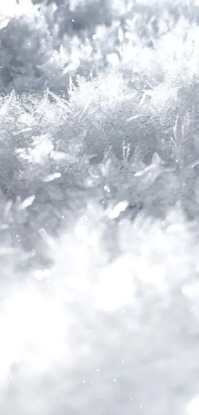 the snow Live Wallpaper