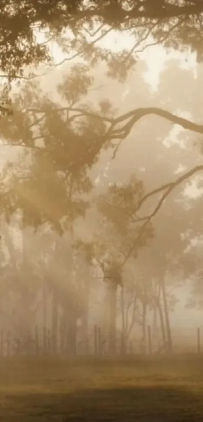 Atmosphere Daytime Sky Live Wallpaper