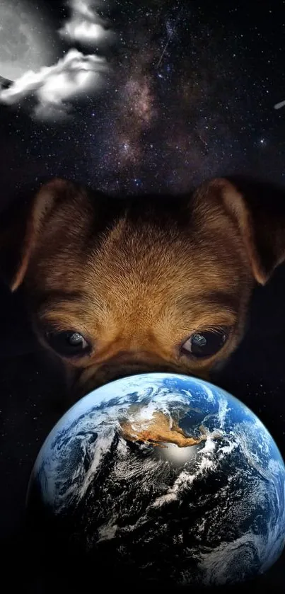 curious dog  Live Wallpaper