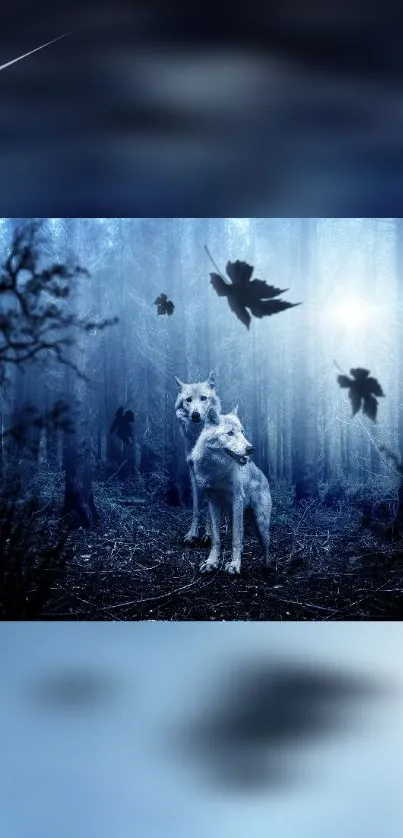 Atmosphere Plant Blue Live Wallpaper