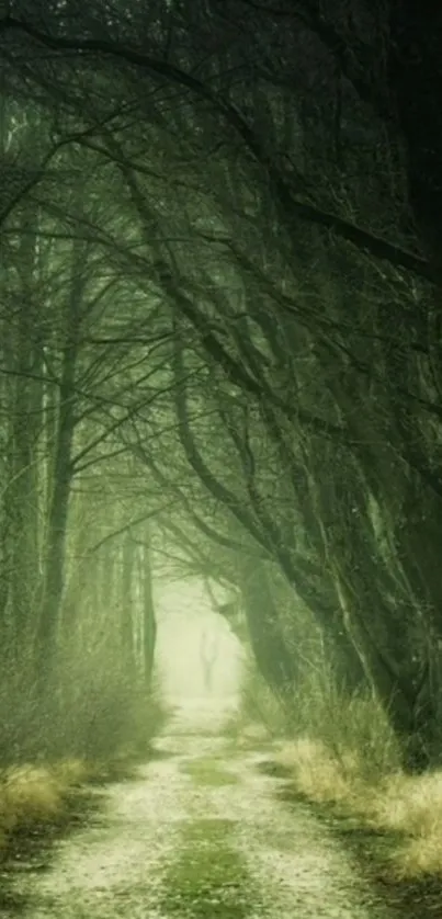 Atmosphere Plant Natural Landscape Live Wallpaper