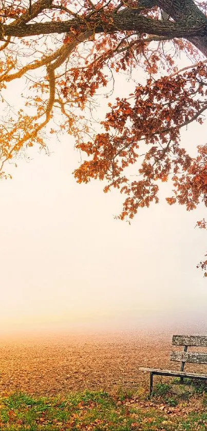 magic tales Live Wallpaper