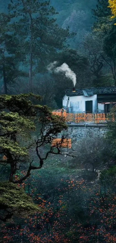 Atmosphere Plant Window Live Wallpaper