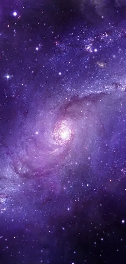 uùuu Live Wallpaper