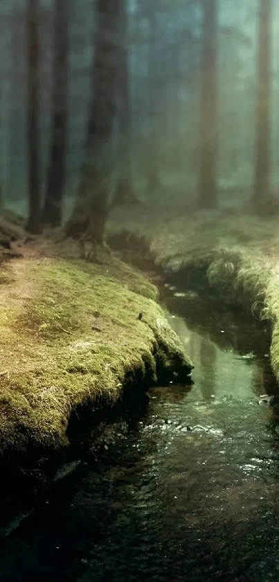 jungle Live Wallpaper