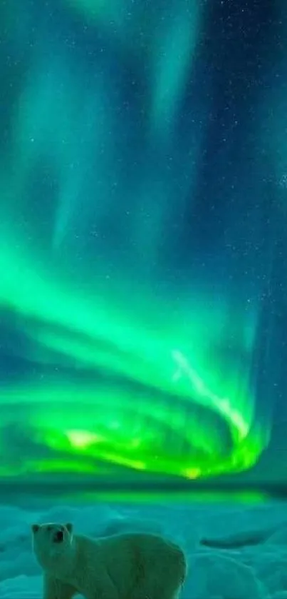 Vivid Northern Lights over polar bear scene.