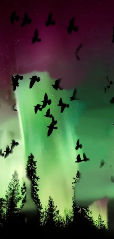 Aurora Borealis with birds in flight over a silhouetted forest at night.