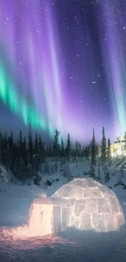 Beautiful night scene with aurora borealis and igloo under starry sky.