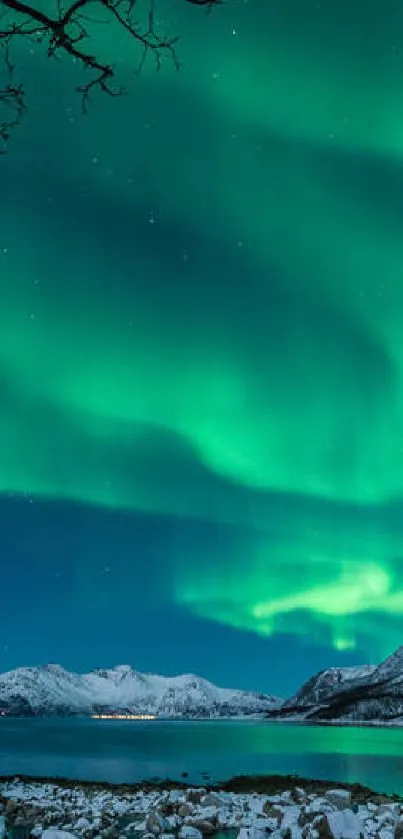 Aurora Borealis over snowy mountains and water