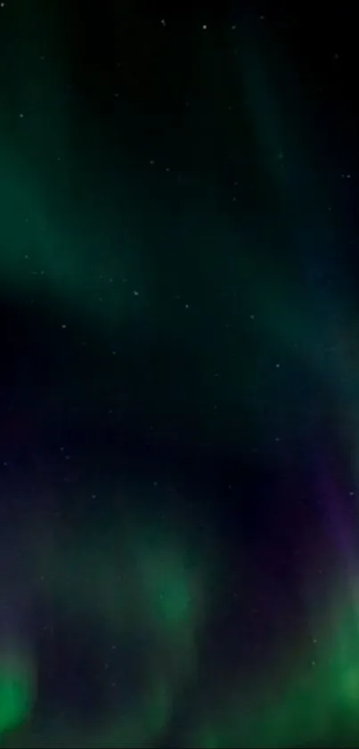 Aurora Borealis wallpaper with green and purple hues illuminating the night sky.