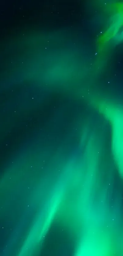 Emerald green aurora borealis lighting up the dark night sky.