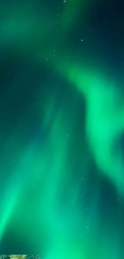 Mobile wallpaper of green aurora borealis against a dark sky.