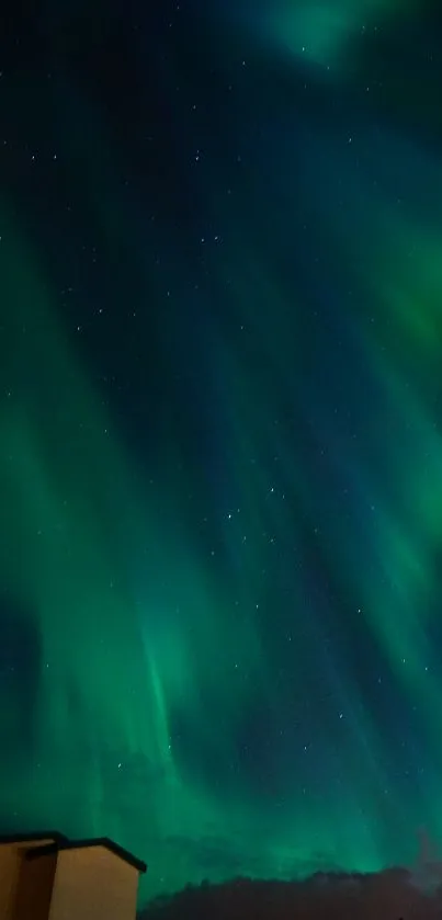 Aurora borealis with green light over a building at night.