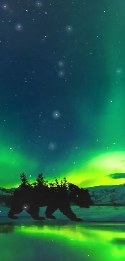 Bear silhouette under green aurora sky reflecting on snowy lake.