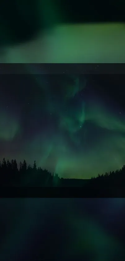 Aurora Borealis over dark forest at night, perfect phone wallpaper.