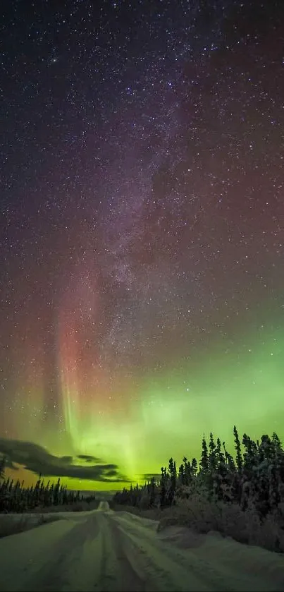 Aurora Borealis illuminating the night sky with stars above a snow-covered path.