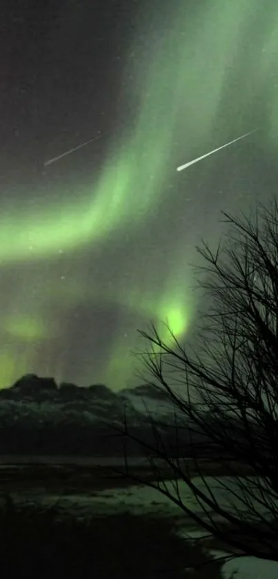 Northern Lights over a dark landscape with silhouetted trees.