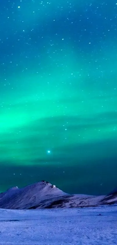 Aurora borealis illuminating the night sky over snowy mountains.