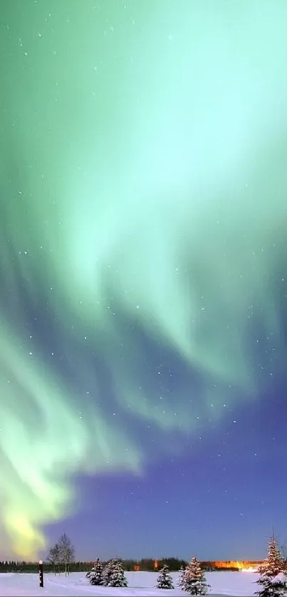 Stunning aurora borealis illuminating the night sky with vibrant green and blue hues.