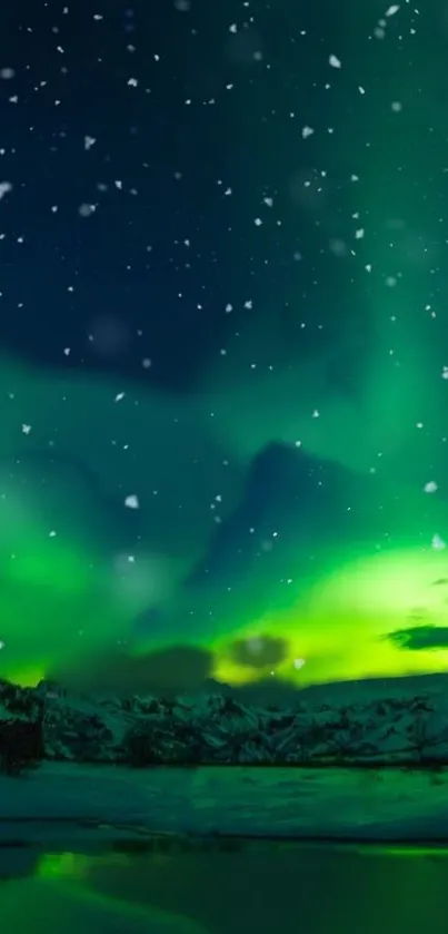 Green aurora borealis with starry sky over snowy mountains.