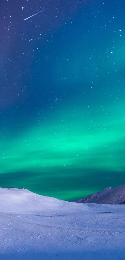 Aurora Borealis over snowy landscape at night.