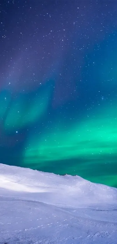 Vibrant aurora borealis over snowy landscape, under a starry sky.