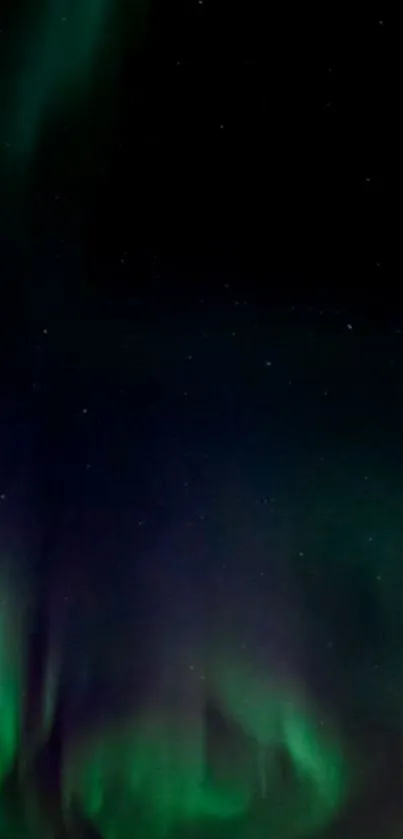 Aurora Borealis lights up the dark starry night sky on a mobile wallpaper.