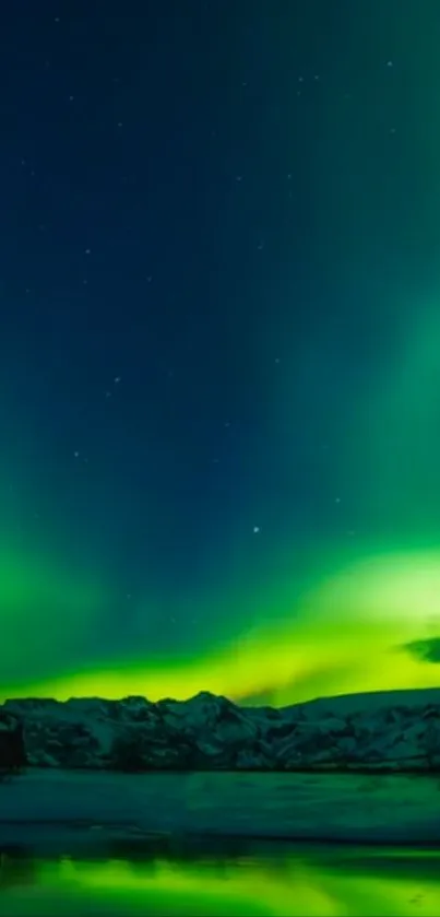 Stunning mobile wallpaper featuring the northern lights in a green night sky.