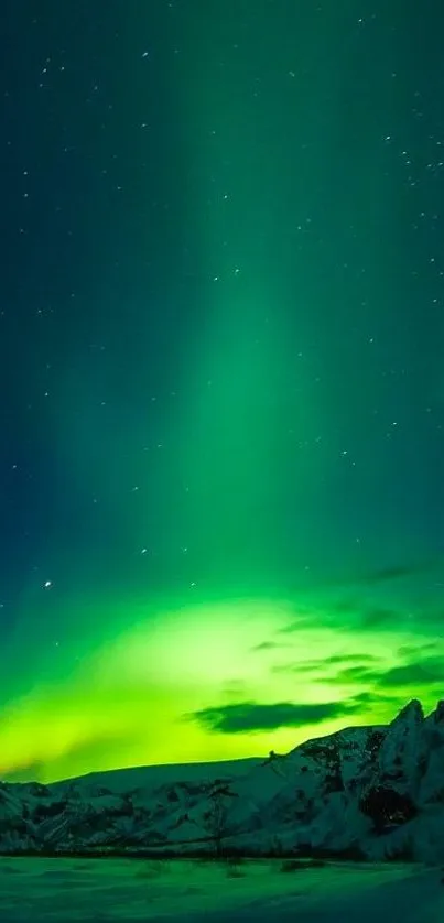 Stunning green aurora illuminating a snowy night landscape.