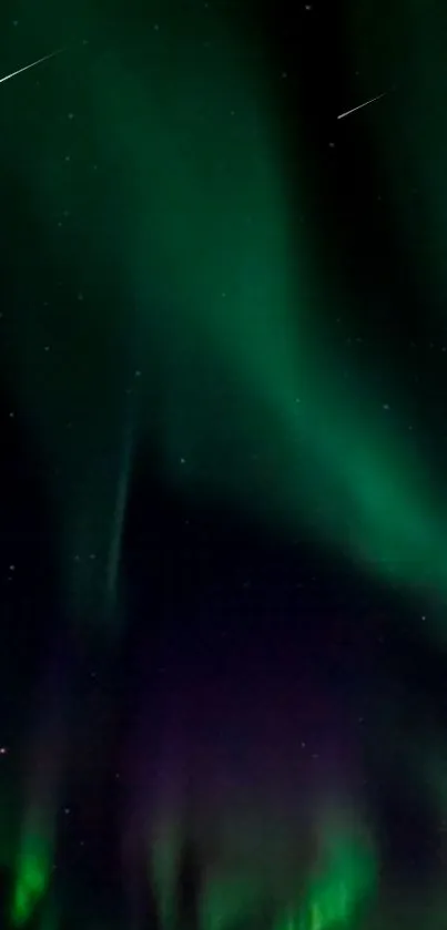 Aurora Borealis with vivid green and purple hues illuminates the night sky.