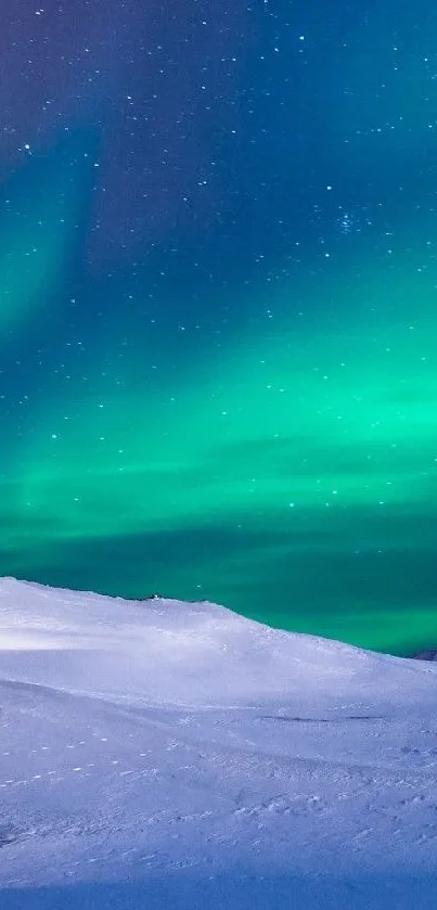 Stunning view of Aurora Borealis illuminating a snowy Arctic landscape under a starry sky.