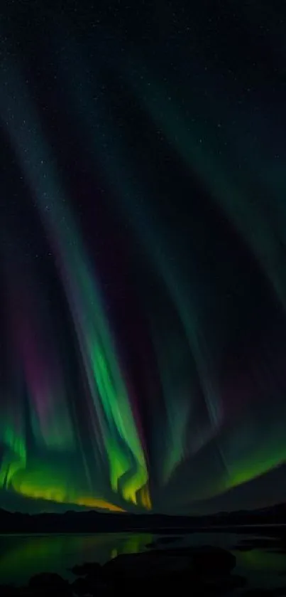 Aurora Borealis with a dreamy night sky.