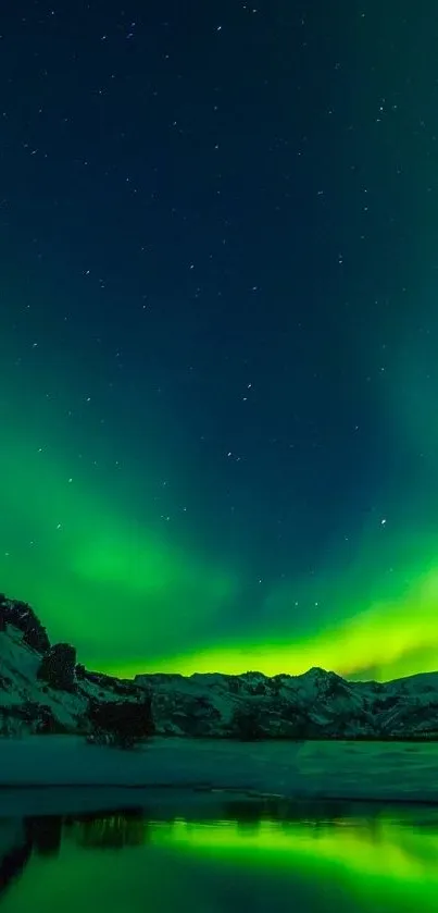 Vibrant green Aurora Borealis illuminates the night sky above a snowy landscape.