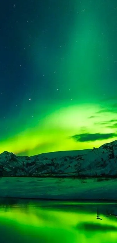 Vivid green aurora borealis over a snowy landscape under a starry night sky.