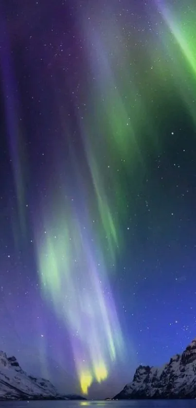 Stunning Aurora Borealis over snow-capped mountains at night.