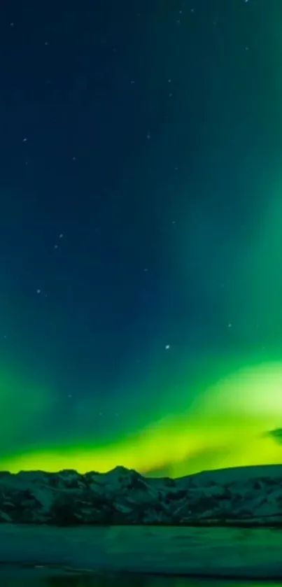 Vibrant aurora borealis under a starry night sky with green hues.